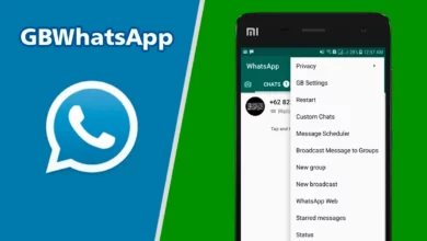 Step-by-Step Guide to Download and Install GBWhatsApp APK